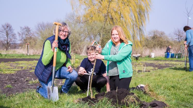 Ein Apfelbaum für die Enkel: Oma Helga Braun pflanzt mit ihren Enkeln einen Baum auf der neu angelegten Streuobstwiese. 