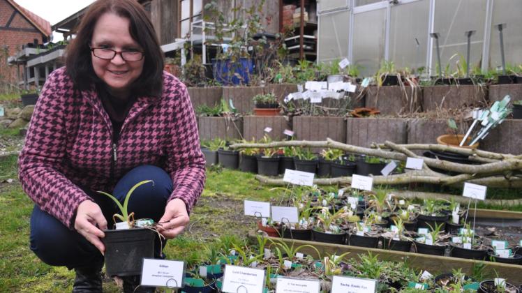 In ihrem Garten gedeihen unzählige Pflanzen: Astrid Witt züchtet seit 2013 Taglilien und hat bisher hunderte Sorten kreiert.