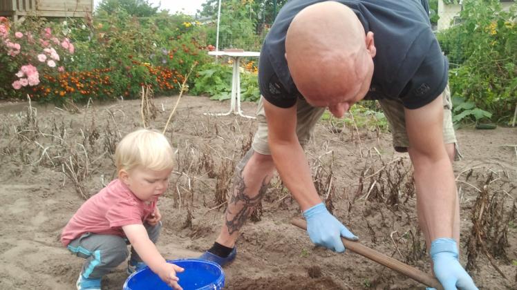 Generationen im Gartenbeet: der dreijährige Erwin hilft Papa Alexander in der Kleingartenanlage „Seeblick“ Bützow. Und der Opa, dem der Garten gehört, knipste dieses Foto, bevor er wieder mit anpackte. 