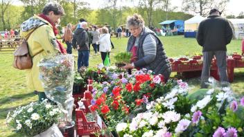 Viele bunte Pflanzen, Kräuter und Blumen wurden auf dem Frühlingsmarkt angeboten. 