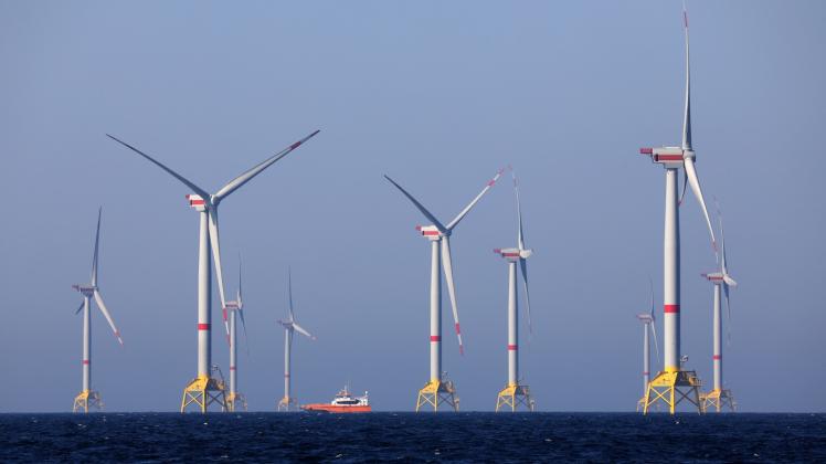 Windräder wie die des Windparks „Wikinger“ in der Ostsee vor Rügen könnten sich auch vor Warnemünde drehen – das orgt auch für Kritik.