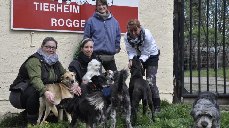 Freuen sich auf zahlreiche Besucher: das Roggendorfer Tierheim-Team. 