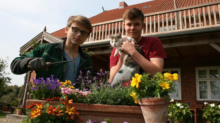 Ein Soforthilfe-Konzept für Insekten: Samuel Kaviedes und Marius Mai (v.l.) haben mit Kater Timmi auf dem Kastanienhof einen Plan für insektenfreundliches Gärtnern erarbeitet. 