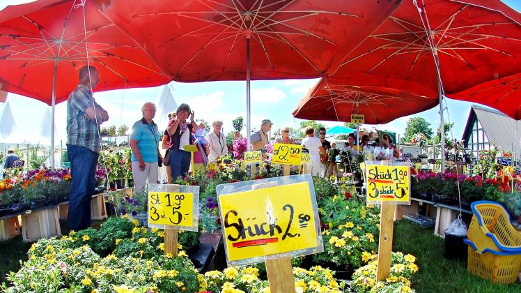 Flora Die Gartenmesse kommt nach Rendsburg SHZ