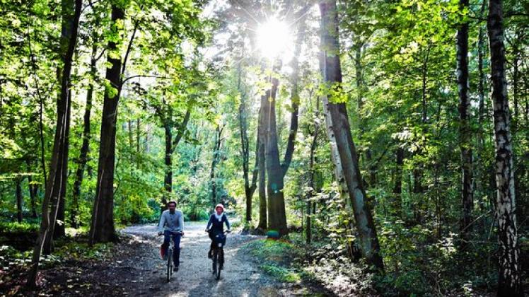 Der Liether Wald ist das größte Naherholungsgebiet Elmshorns. Der Stadtpark ist ein beliebtes Ausflugsziel für Radfahrer und Spaziergänger. Foto: Grundt/Kellner (2)