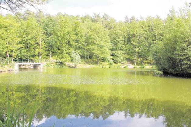 Anfang der 1930er-Jahre wurde der Teich im Liether Wald angelegt - und der knapp 22 Meter hohe Butterberg entstand.