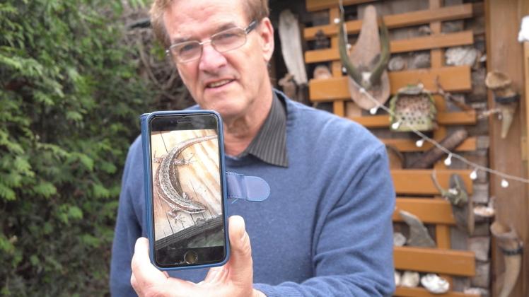 Ein gelungener Schnappschuss:  Mit dem Handy konnte Rolf Stiehler an seinem Kompost das Bild einer Waldeidechse machen. 