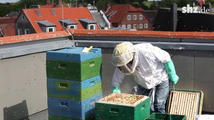 90.000 Bienen auf Rendsburger Modehaus: Der erste Honig der Stadtbienen.