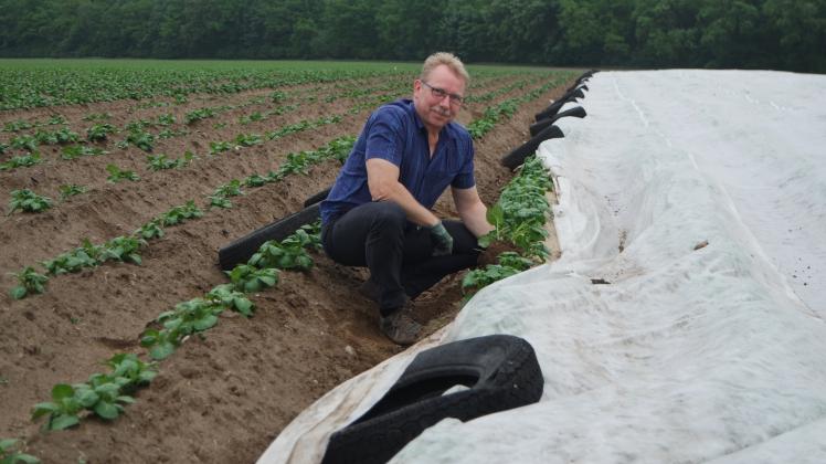Nach erheblichen Ernteausfällen in 2018 hofft Dr. Volker Toparkus, Vorstandsvorsitzender der  Agrargenossenschaft Rom, wieder auf bessere Kartoffel-Erträge. 