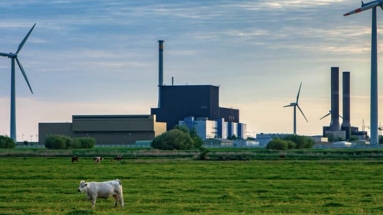 Der Verband der Schleswig-Holsteinischen Energie- und Wasserwirtschaft wendet sich gegen eine Regierungsverordnung, nach der die Betreiber von Gas-Fernleitungen auch LNG-Anlagen anschließen müssen. 