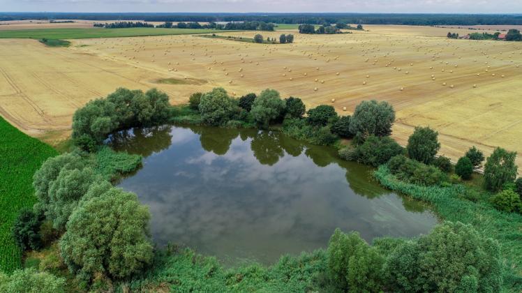 Die Landwirtschaft ist vielerorts im Land Brandenburg zu nahe an viele märkische Gewässer gerückt. Das fördert die Belastung vieler Seen und Flüsse mit Nährstoffen und Pestiziden. 