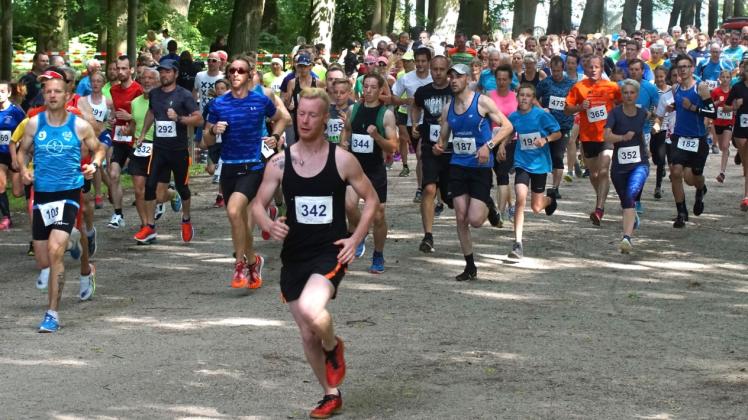 Etwa 350 Läuferinnen und Läufer starteten beim Ludwigsluster Schlossgartenlauf gemeinsam auf die drei Distanzen über 5, 10 und 15 Kilometer Fotos: Thomas Zenker 