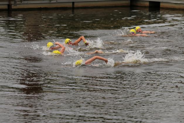 Bei den Nachwuchsschwimmern wurde über die 375 Meter im Hafenbecken um jeden Platz gekämpft.