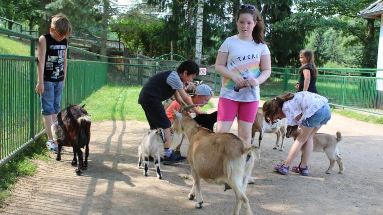 Der Tierpark Wismar feierte gerade sein 50-jähriges Bestehen. Nun nimmt er am Zootag teil. 