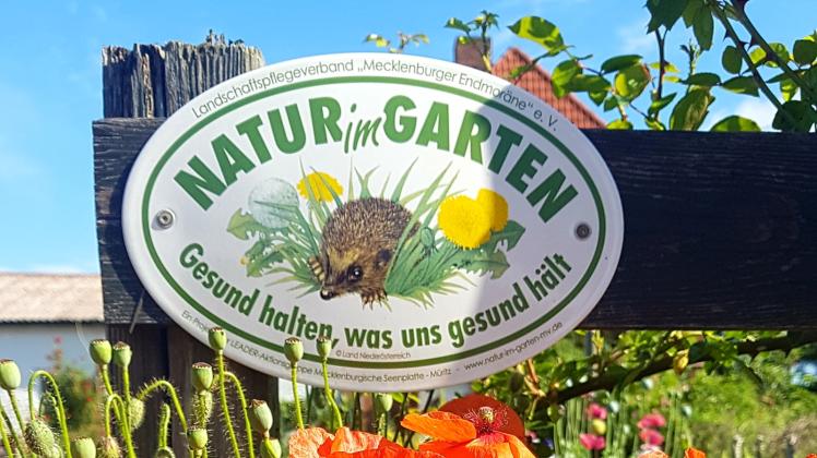 An der Aktion „Offene Naturgärten“ beteiligt sich auch der Paradiesgarten in Testorf bei Zarrentin. 