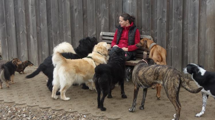 Seit mehr als 20 arbeitet Vivien Käckenmeister mit Hunden.