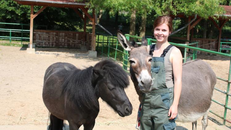 Exklusive Betreuung bevor der Nachwuchs kommt: Shettland-Pony Eve und Tierpflegerin Julia Pätzold kümmern sich um Eseldame Tina. 