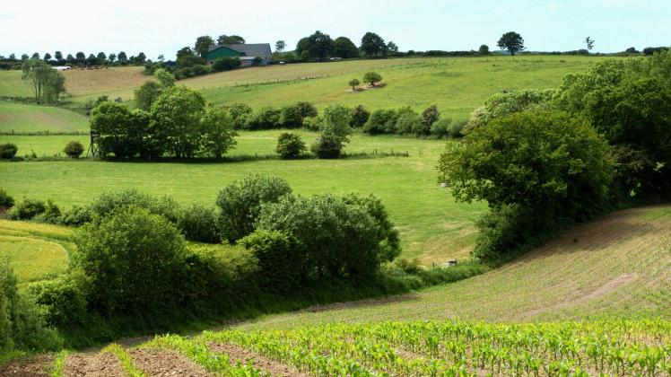 Knicklandschaft: Natur und Landwirtschaft prägen das Bild in Schleswig-Holstein. 