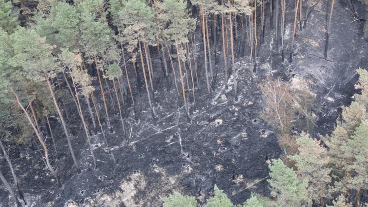 Teile eines Waldes in der Nähe von Lübtheen sind nach einer Feuer verbrannt (Luftaufnahme aus einem Hubschrauber).