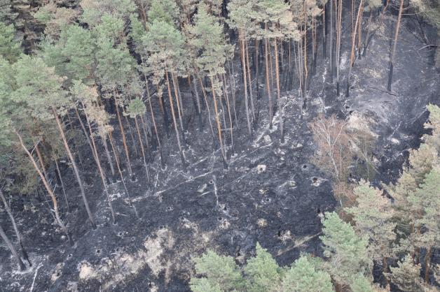 Teile eines Waldes in der Nähe von Lübtheen sind nach einer Feuer verbrannt (Luftaufnahme aus einem Hubschrauber). Teile eines Waldes in der Nähe von Lübtheen sind nach einer Feuer verbrannt (Luftaufnahme aus einem Hubschrauber).