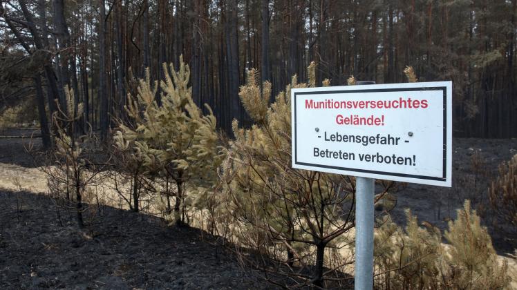 Schild vor einem verbrannten Waldstück in der Nähe von  Alt Jabel