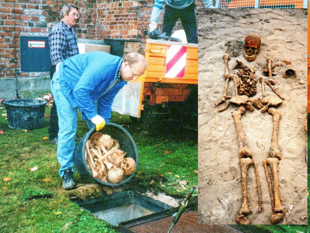 Sieben stehenden Skelette in Rendsburger Altstadt entdeckt