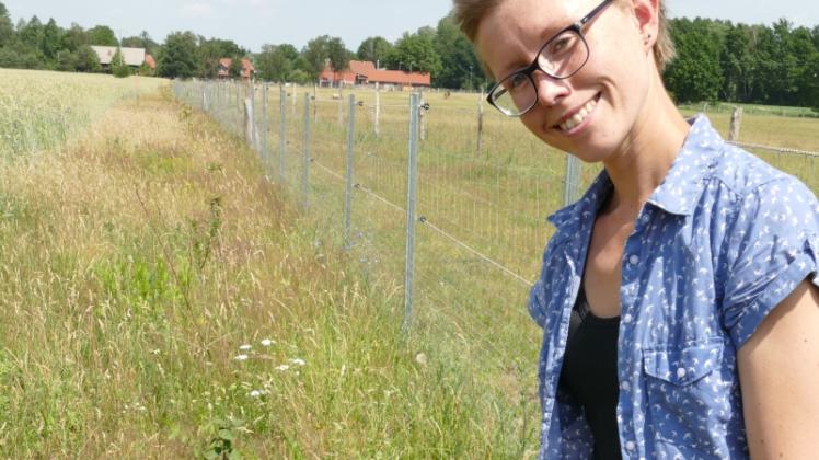 Auf dem Feld: Jennifer Dietel vom Hof Birkenkamp untersucht, ob die Jungpflanzen gut angewachsen sind. 