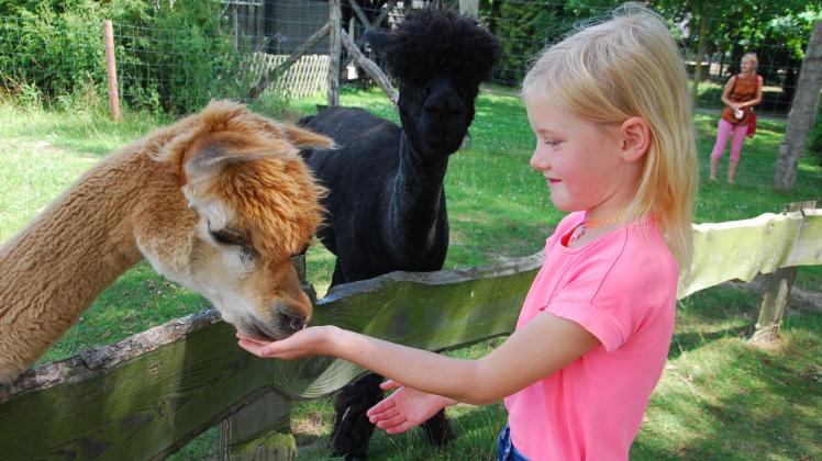 Mutig hält  Sophie die Tierpark-Futtermischung hin. 