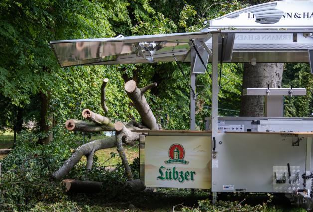 Großer Ast stürzt bei Open Air herab - Verletzte Großer Ast stürzt bei Open Air herab - Verletzte