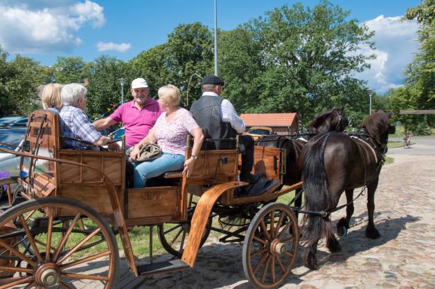 Jubiläum in Camin: Die Kutsche vom Friesenhof Menne aus Lehsen wurde gerne für Rundfahrten durch das Dorf genutzt.