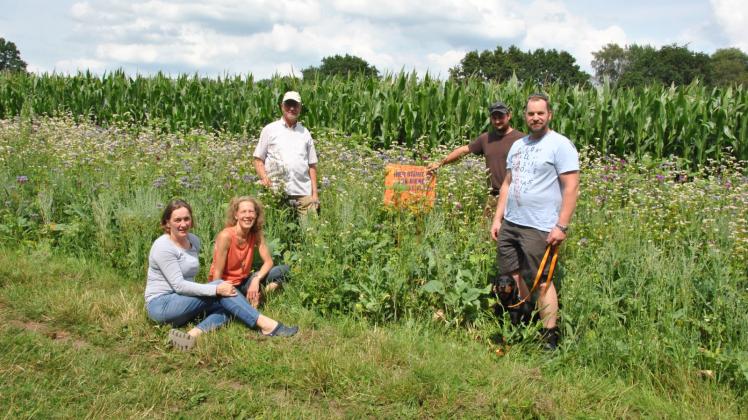Das Bienenparadies am Dorfrand