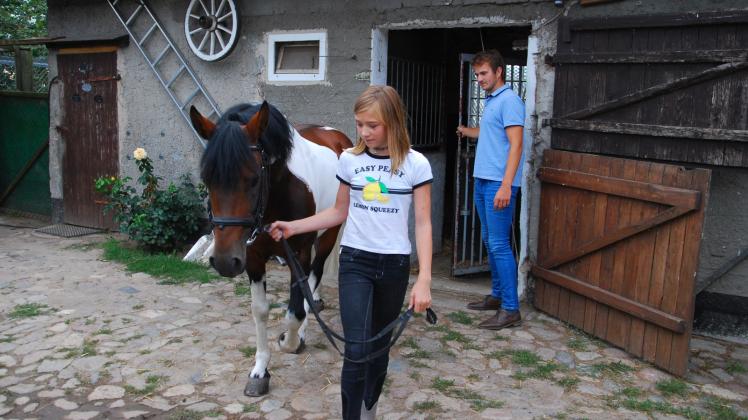 Kiara holt „ihren“ Odin aus dem Stall. Mathias Wandschneider zeigt ihr alles rund um den Pony-Hengst: Füttern, striegeln, aber auch abäppeln gehört dazu. 