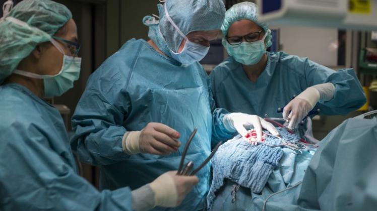 Der Chefarzt der Neurochirurgie in der Parcelsus-Klinik, Franz-Josef Hans, operiert an einem Gehirntumor. 
