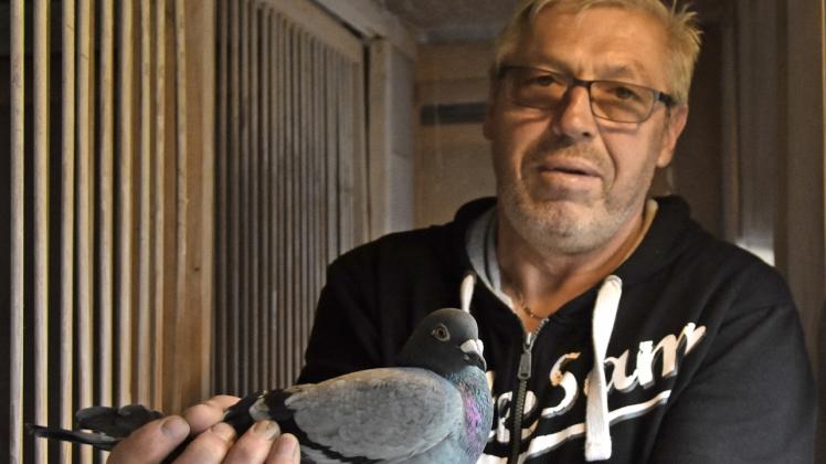 Taubenzüchter Robert Piel aus Lübz wurde Vizemeister der Reisevereinigung "Auf zur Elde" 