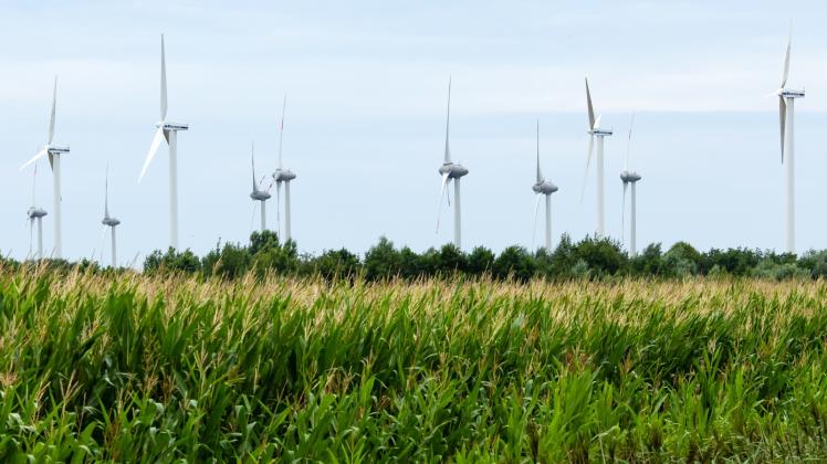 Die Gemeindevertretung Ganzlin spricht sich gegen den Bau des Windparks in Klein Dammerow aus.