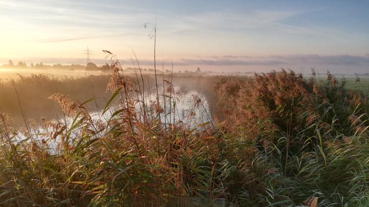 an der Soholmer Au SHZ