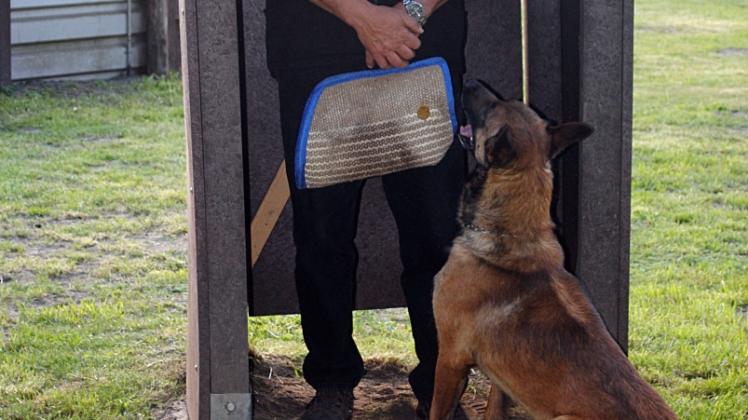 Wie sich der Hund im Schutzdienst korrekt verhält, demonstriert hier Dietmar Jörß vom Hundesportverein Güstrow . 