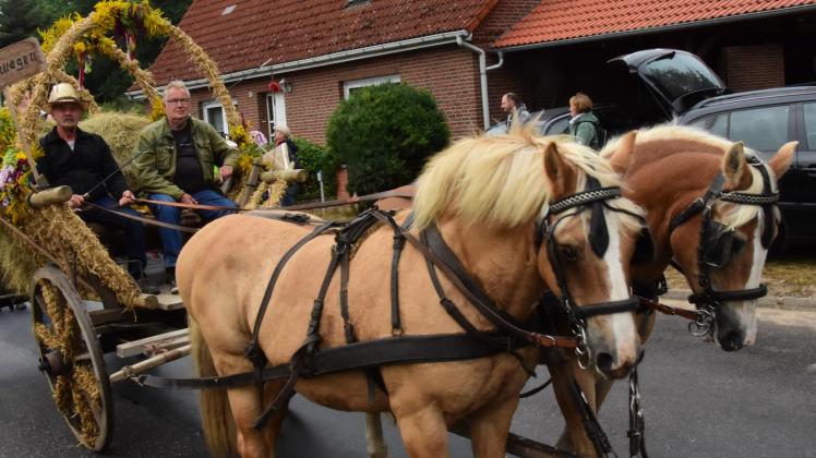 Umzug zum Dorfjubiläum auch mit Pferdestärke: Prächtige Kaltblüter zogen einen schmucken Erntewagen durch die Straßen.