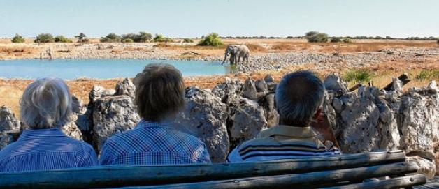 Blick aus dem Geländewagen auf wilde Tiere: Namibia bietet unvergessliche Erlebnisse. Foto: Anja Ilgenstein/ Terra Namibia Blick aus dem Geländewagen auf wilde Tiere: Namibia bietet unvergessliche Erlebnisse. Foto: Anja Ilgenstein/ Terra Namibia
