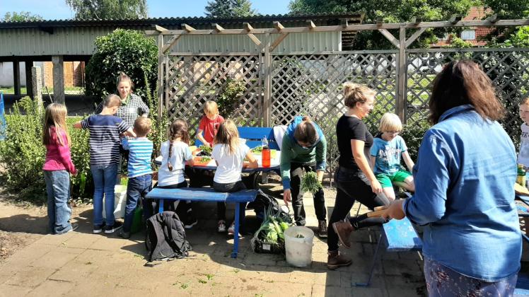 Im Schulgarten ernteten die Mädchen und Jungen der Viktor-Bausch-Grundschule frisches Gemüse und bereiteten daraus einen Salat zu. 