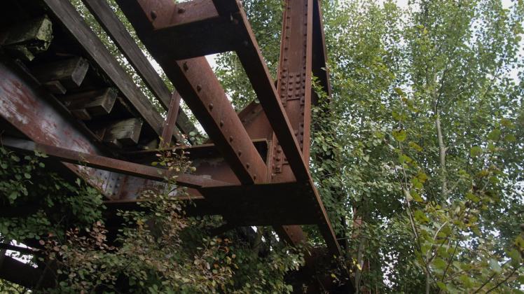 Die Brücke steht halb in einem Wäldchen, die jungen Bäume machen der Stahlkonstruktion schwer zu schaffen. 