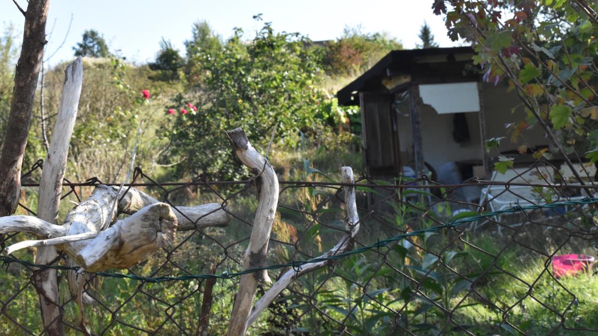 Ehemalige Gartenanlage in Kronskamp steht zum Verkauf Doch Laage SVZ