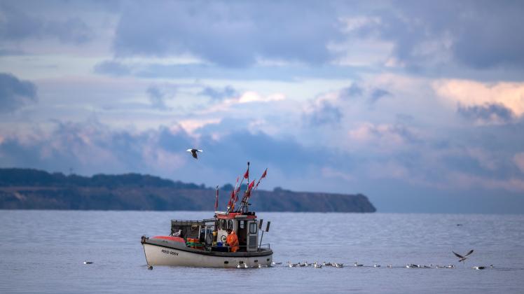Auf einem Fischkutter werden vor Timmendorf auf der Ostseeinsel Poel die Fangnetze eingeholt. 