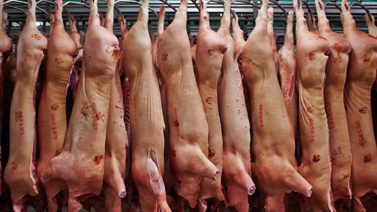 6000 Schweine sollen pro Tag in Kellinghusen geschlachtet werden.