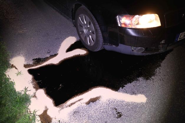 Wildunfall auf Autobahn 19 bei Rostock Nord: Drei Autos stoßen mit Wildschwein zusammen - Vollsperrung und jede Menge Schaden