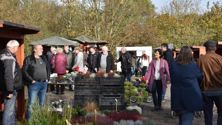 Gut besucht: Der letzte Biosphäre-Schaalsee-Markt der diesjährigen Jubiläumssaison