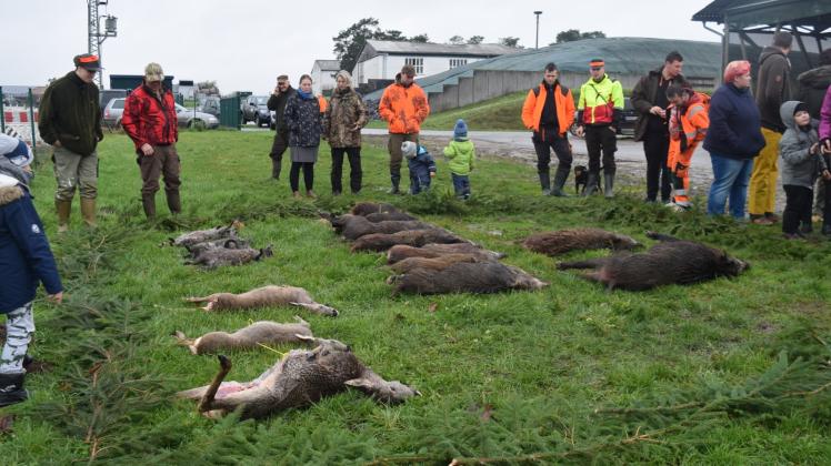 Groß und Klein schauen sich auf dem Mankmooser Betriebshof der Wariner Pflanzenbauer die Strecke der gemeinsamen Großjagd von Hegering/Hegegemeinschaft Weiße Krug und dem Forstamt Schlemmin an. Fotos: Roland Güttler 