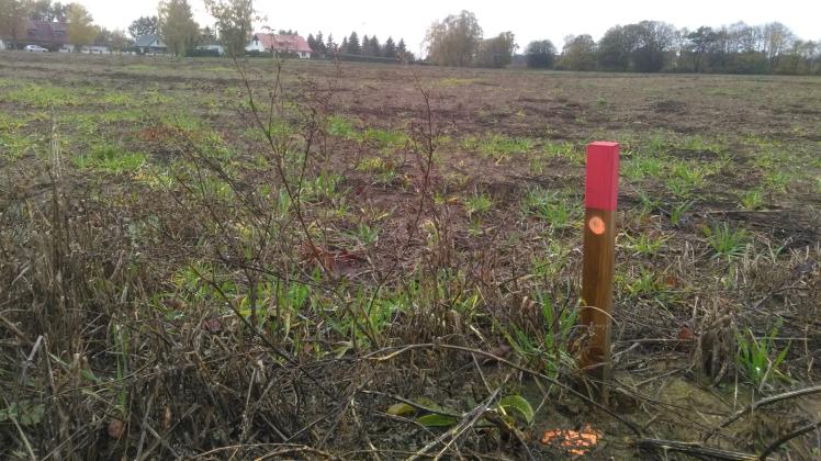 Noch präsentiert sich das Bebauungsgebiet „Föhrendrift“ ziemlich kahl. Straßennamen werden aber vergeben. 