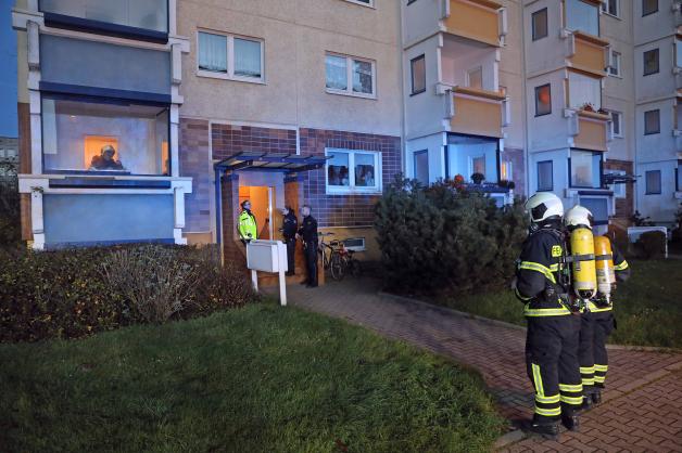 brandeinsatz_toitenwinkel_1.jpg brandeinsatz_toitenwinkel_1.jpg