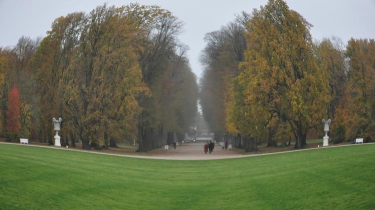 Der Schlosspark Ludwigslust: Die Hofdamenallee teilen sich Spaziergänger, Jogger und Radler. In der kommenden Woche finden dort Fällarbeiten statt. 